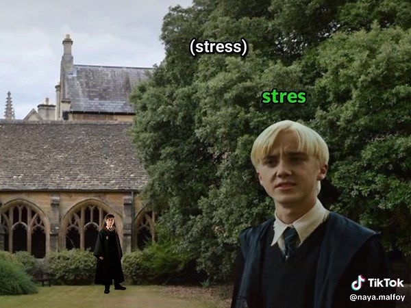 ⌁☍𝐍𝐚𝐲𝐚 𝐌𝐚𝐥𝐟𝐨𝐲⌁☍ (@naya.malfoy) - Exploring the Dynamic Relationship of Draco Malfoy and Harry Potter