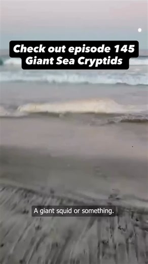 Check out the episode we did on giant sea cryptids like the giant octopus and the kraken! It's upside 145 of Almost Canon!! #cryptid #cryptozoology #seamonster monster | Almost Canon Podcast