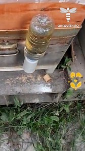 180K views · 994 reactions | Open-feeding bees in times when nature can't provide much can trigger the robbing effect inside your apiary and can compromise your whole year For full videos, check these channels: @teknikmudurmustafa - YouTube @ucanibo - YouTube @aCanadianBeekeepersBlog - YouTube | OneQueen.ro | Facebook