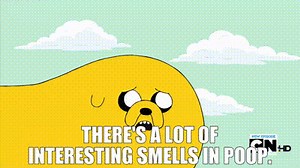 There's a lot of interesting smells in poop.
