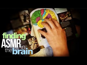 The Human Brain (part 2): Explaining ASMR [science, psychology, anatomy]