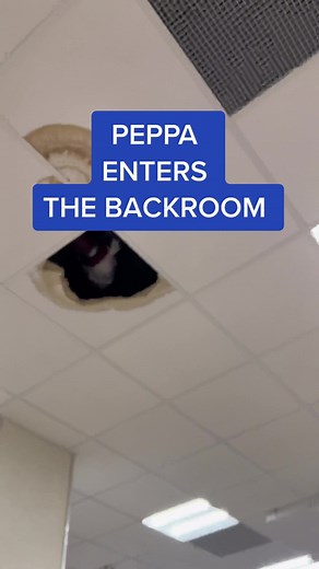 Peppa Pig Enters Mysterious Backrooms