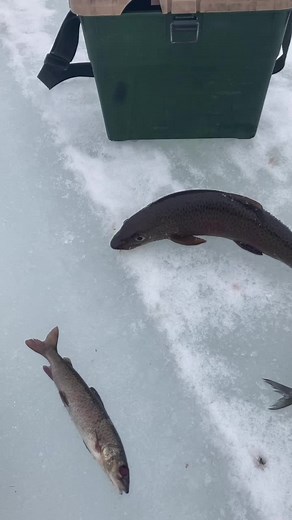 Vital zzz (@vitality.zz)’s videos with Time Machine - Muni Long