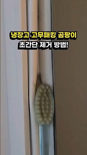 냉장고 고무패킹 곰팡이 초간단 제거 방법!