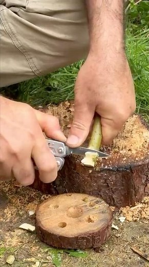 Survival Skills: Campfire Tripod Wood Cooking Setup #survival #camping