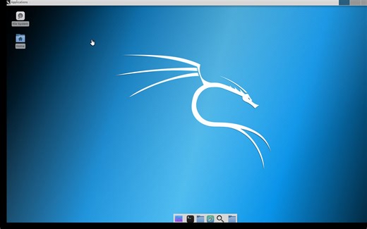Kali-win10子系统安装图形界面