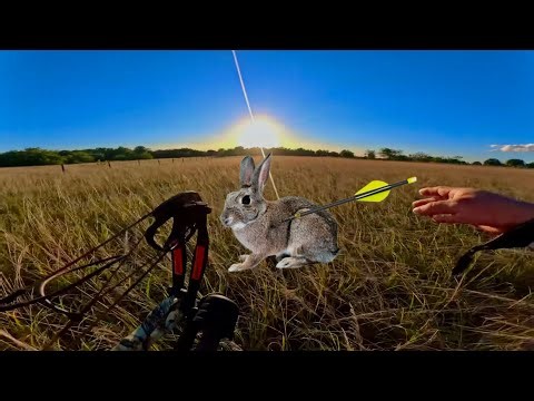 RABBIT TOOK MY ARROW | FIRST TIME HUNTING WITH MY BOW | MY FIRST KILL