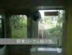 関東ローカル線ひとり旅その１「トイカメラを片手に」