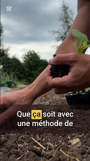 Savez-vous planter les choux ? 🥬