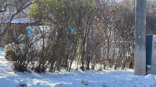 130K views · 276 reactions | TRAFFIC: Please use caution at the intersection of King and Reid Streets after a two car collision, injuries are unknown, one person appears to be trapped inside of the vehicle. Please slow down and use caution if travelling in this direction, traffic on Reid Street is being detoured onto King Street. | Peterborough Scanner Feed | Facebook