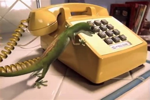 Memories from Your Childhood🌠 on Instagram: "Geico - Yellow Phone Commercial (2000) #2000s #nostalgia #explorepage"
