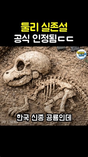 둘리 실존설, 공식 인정됨ㄷㄷ#둘리사우르스#둘리#신종공룡#신안#쇼츠뉴스
