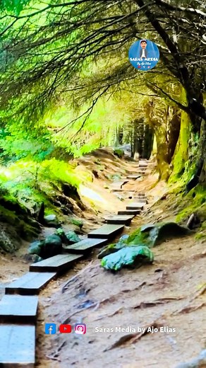 Lost in the Magic of 📍Ballinastoe Woods ☘️✨ The Ballinastoe Forest Walk in Wicklow, Ireland 🇮🇪 Just 1 hour from Dublin — but it feels like another world🙏 #BallinastoeWoods #WicklowMagic #HiddenIreland #ForestVibes #NatureLover #IrishNature #TravelIreland #sarasmedia #ajo #virtualtour #ireland #discoverireland #top #fyp #wicklow #vr #drone #travel | Ajo Elias