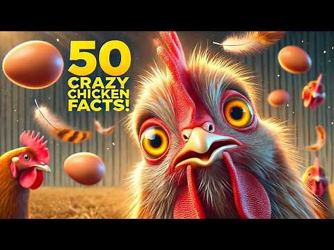 50 Cool Chicken Facts You Didn’t Know! 🐔 Incredible Abilities and Surprising Secrets