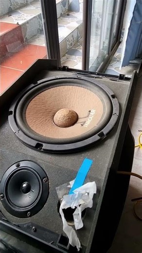 Chinese HIGH END 10 Inch Subwoofer BASS TEST! Slow Motion Cone Movement #nghia #automobile #dj