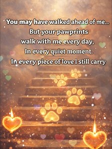 You may have walked ahead of me, but you never truly walked away. Your pawprints are everywhere — in my memories, in my heart, in the quiet spaces where your presence still feels real. Every step I take now carries a piece of you. Every moment of love reminds me of what we shared. Grief doesn’t mean forgetting; it means learning how to live while holding on. Some days are heavier than others, but even on the hardest days, your love still guides me forward. You taught me loyalty, patience, and un