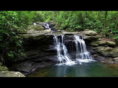 🌬️ Waterfall Sounds & Wind | 12 Hour Live Stream | Relaxing Nature