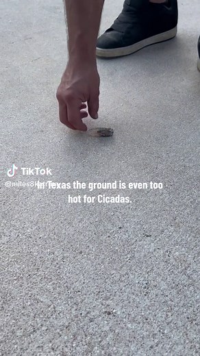 Miles8Katrina on TikTok