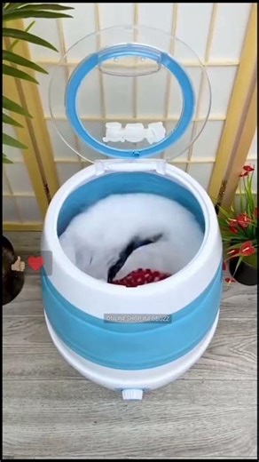 Chhoti si machine, bada kaam 😳 Mini Washing Machine test!” #shorts