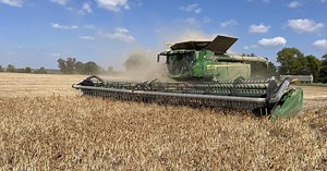 Edible Bean School: Harvesting with high-capacity combines