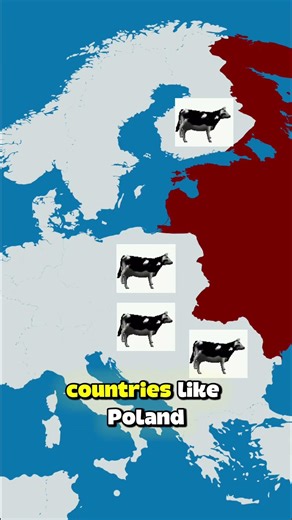 What did every country want After WW2? #history