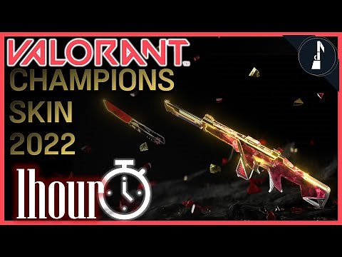 [ 1hour ] valorant champions skin 2022