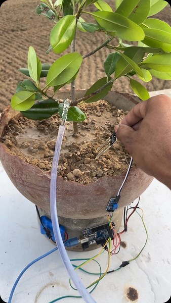OUT OF MIND | Automatic Plant Watering System 🪴💧 | Instagram