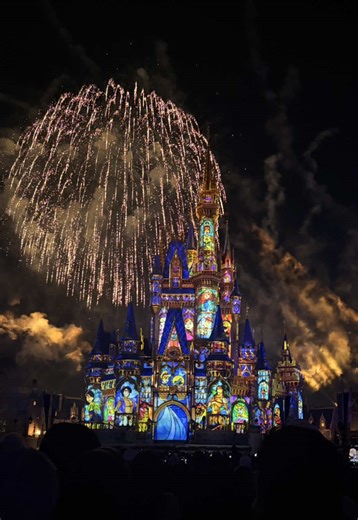 Emotional Moments at Cinderella Castle in Disney World