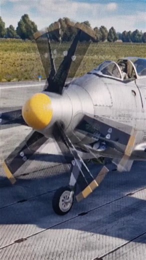 Turboprop engine start-up #warthunder #aviation