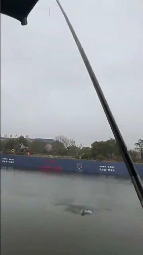 Unleash Your Creativity: The Ultimate Bubble Art Guide