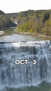 14K views · 277 reactions | Foliage report, Oct. 3: Color growing...