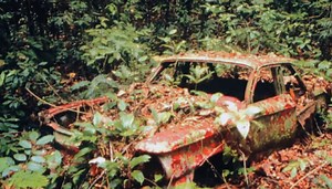The Mystery Story of the Chevy Corvair Abandoned in the Jungle: How Did It Get There?