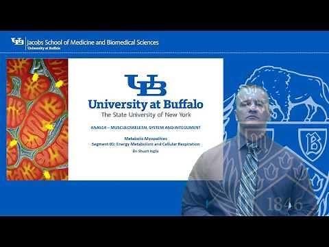 Metabolic Myopathies Segment 01 Introduction to the Metabolic Myopathies