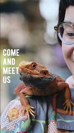 Pets Home: Find Loving Homes | Pet Adoption, Pet Rehoming, Pet Selling and Care