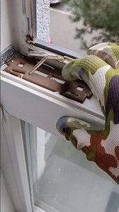 20 грудня 2025 р.