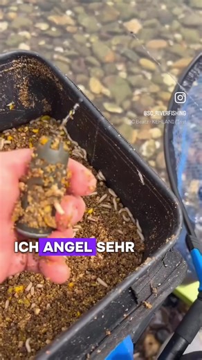 Window Feeder Fishing Techniques