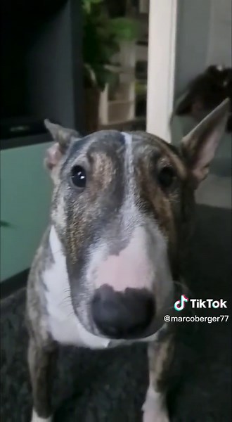 Marco Berger446 on TikTok