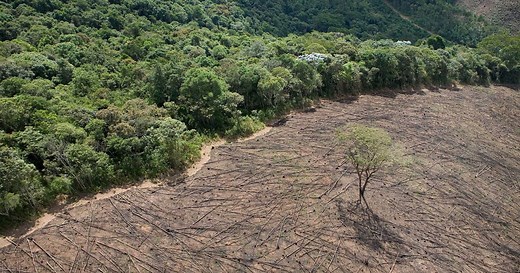 3 Ways Global Leaders Can Save the Planet
