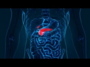 Gastrointestinal absorption simulation using in silico methodology-Presentation by#DrBhupenKalita