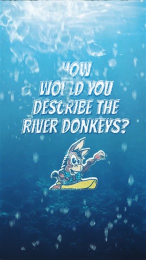 Meet the River Donkeys of Stallings Island! 🫏🌿 Say hello to Mama Jenny, Buster Jr., Abigail, and Baby Hercules, the beloved donkeys who call Stallings Island home all year long! While the island itself is protected to preserve its rich 5,000-year-old archaeological history, these four-footed caretakers are a vital part of the conservation efforts! Seen from the water by kayakers and nature lovers, the donkeys have become iconic guardians of the island, helping maintain its ecology and raising 
