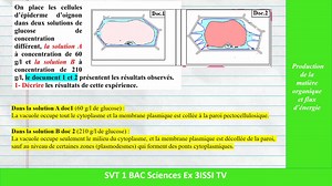 Contrôle 3 SVT 1 BAC Science Ex Semestre 1 🔥🔥 | 3ISSI TV
