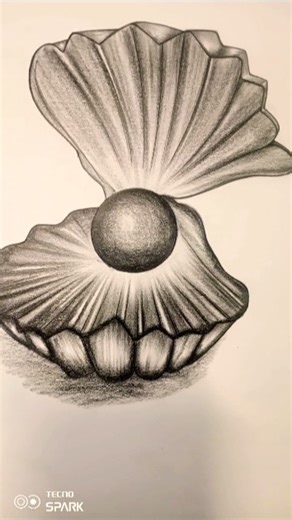 Realistic Pearl Shell Drawing Satisfying Pencil Shading #PencilShading#RealisticDrawing#ArtShorts