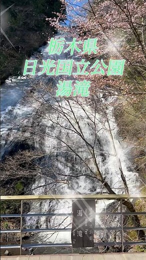 【日本観光地】奥日光 湯元温泉 湯滝 #温泉 #観光地 #tokyo #奥日光 #ゴールデンウィーク#避暑地 #湯滝 #Japan