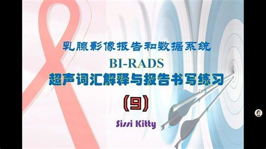 BI-RADS超声语言-9（弹性成像）