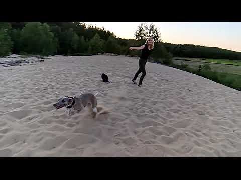 Samsung Galaxy Note 20 Ultra 5G - video sample - camera test - super slow-motion