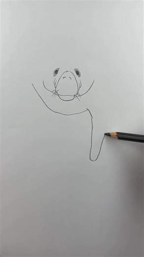 Draw a manatee. Drawing lesson for people who don’t think they can dr... | Mark Liam Smith