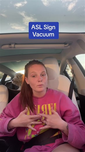 Vacuum #signlanguage #asl