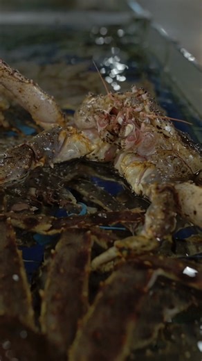 Vertical Screen Crab Swimming With Spread Stock Footage SBV-354279851 - Storyblocks