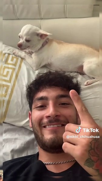 NIKI GANG on TikTok