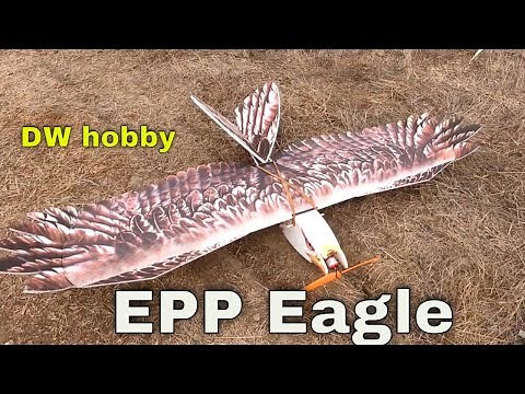 Dancing Wings Hobby DW E19 Eagle V2 1430mm